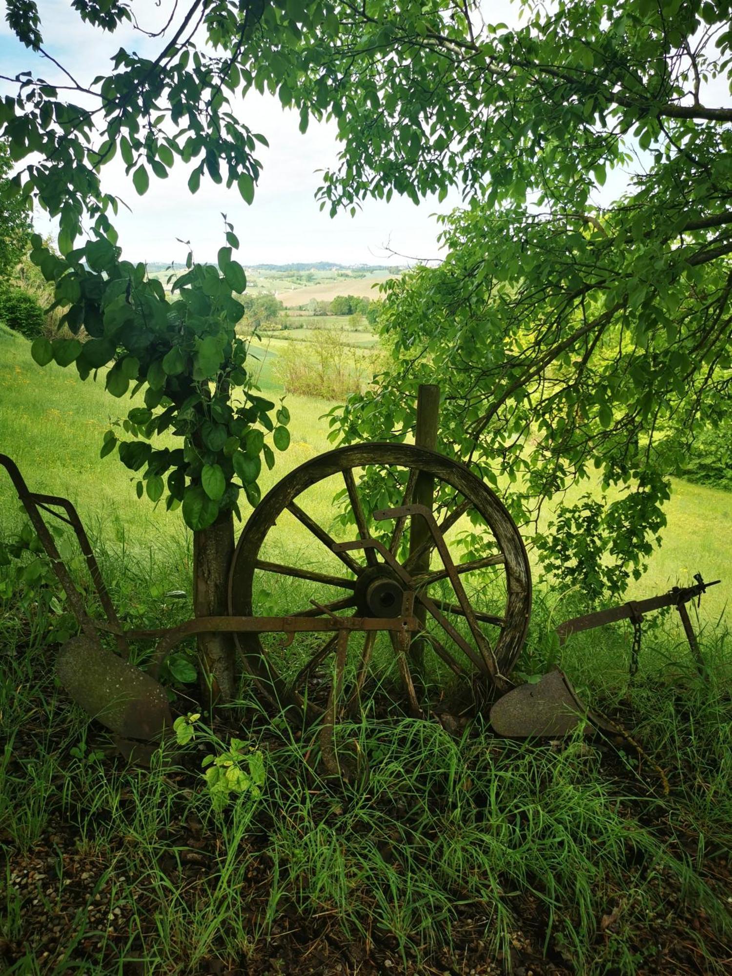 Azienda Agricola Tenuta Del Barone Calliano  Exterior foto